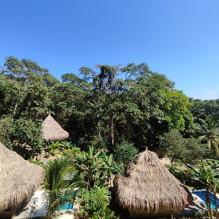 Colibri Parque Tayrona Dentro Del Parque Nacional Tayrona Bed & Breakfast El Zaino Eksteriør bilde