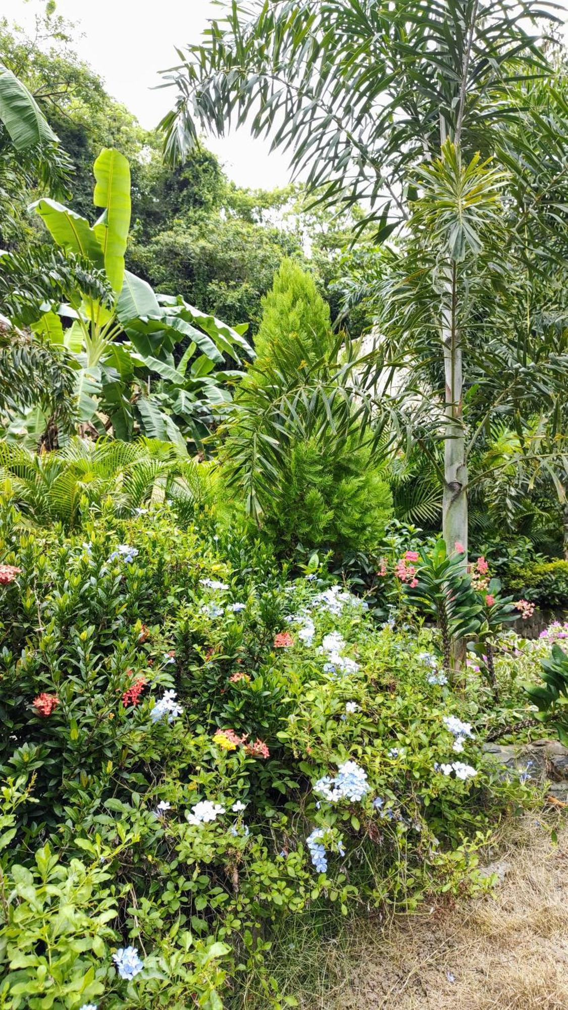 Colibri Parque Tayrona Dentro Del Parque Nacional Tayrona Bed & Breakfast El Zaino Eksteriør bilde