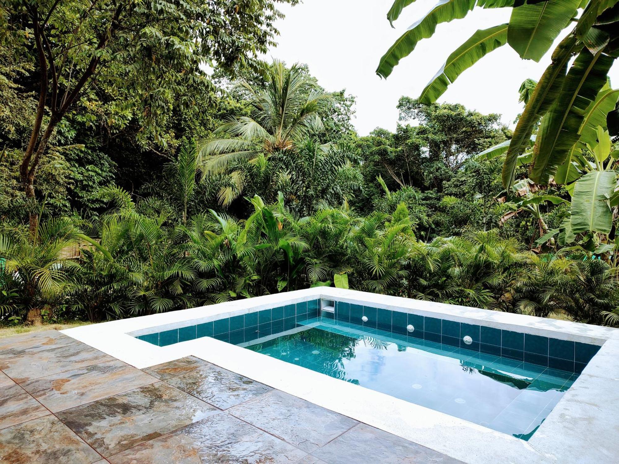 Colibri Parque Tayrona Dentro Del Parque Nacional Tayrona Bed & Breakfast El Zaino Eksteriør bilde