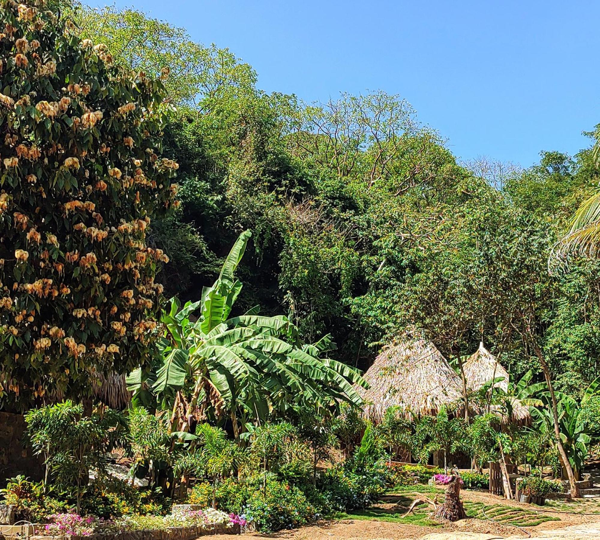 Colibri Parque Tayrona Dentro Del Parque Nacional Tayrona Bed & Breakfast El Zaino Eksteriør bilde