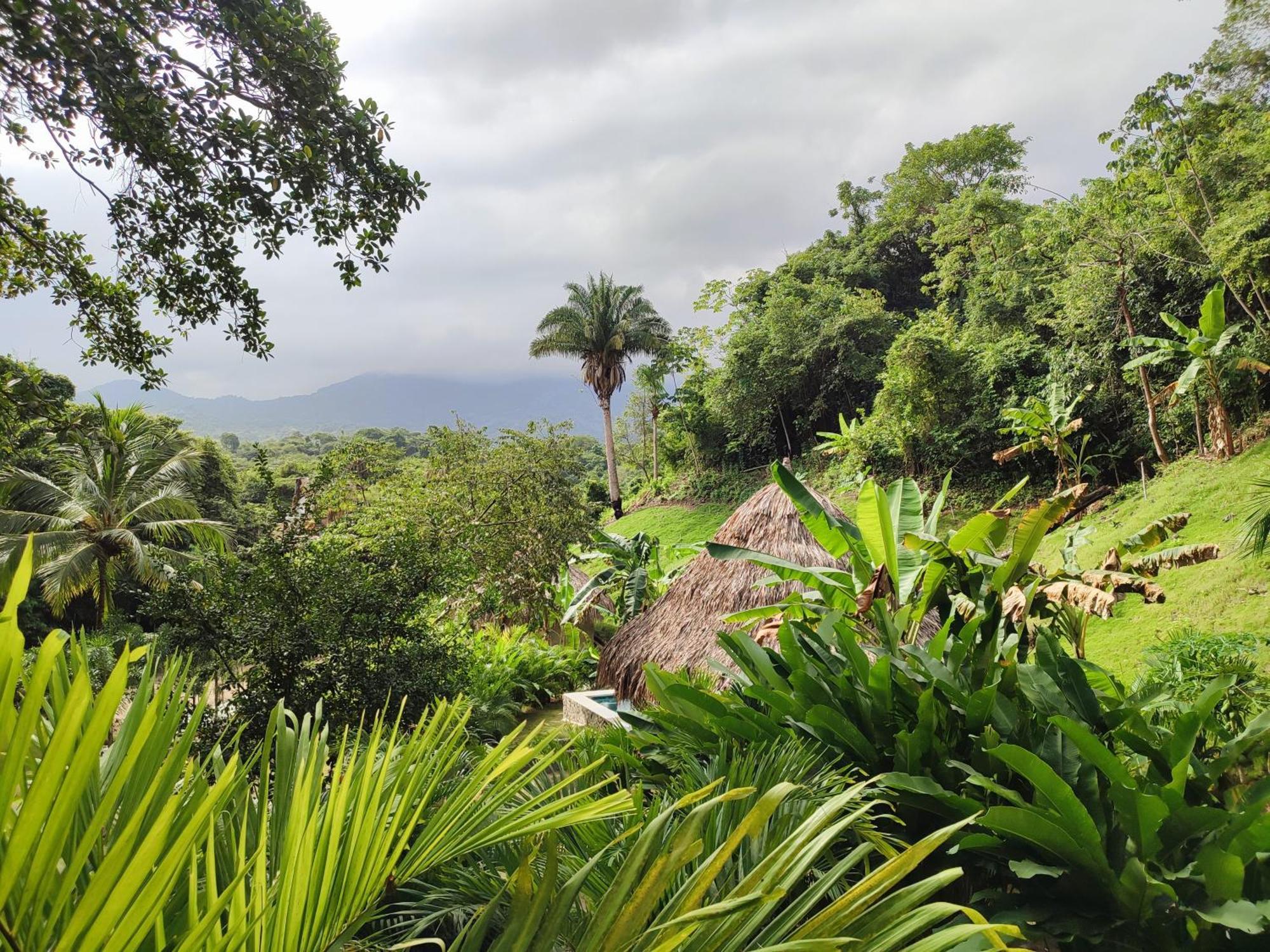 Colibri Parque Tayrona Dentro Del Parque Nacional Tayrona Bed & Breakfast El Zaino Eksteriør bilde