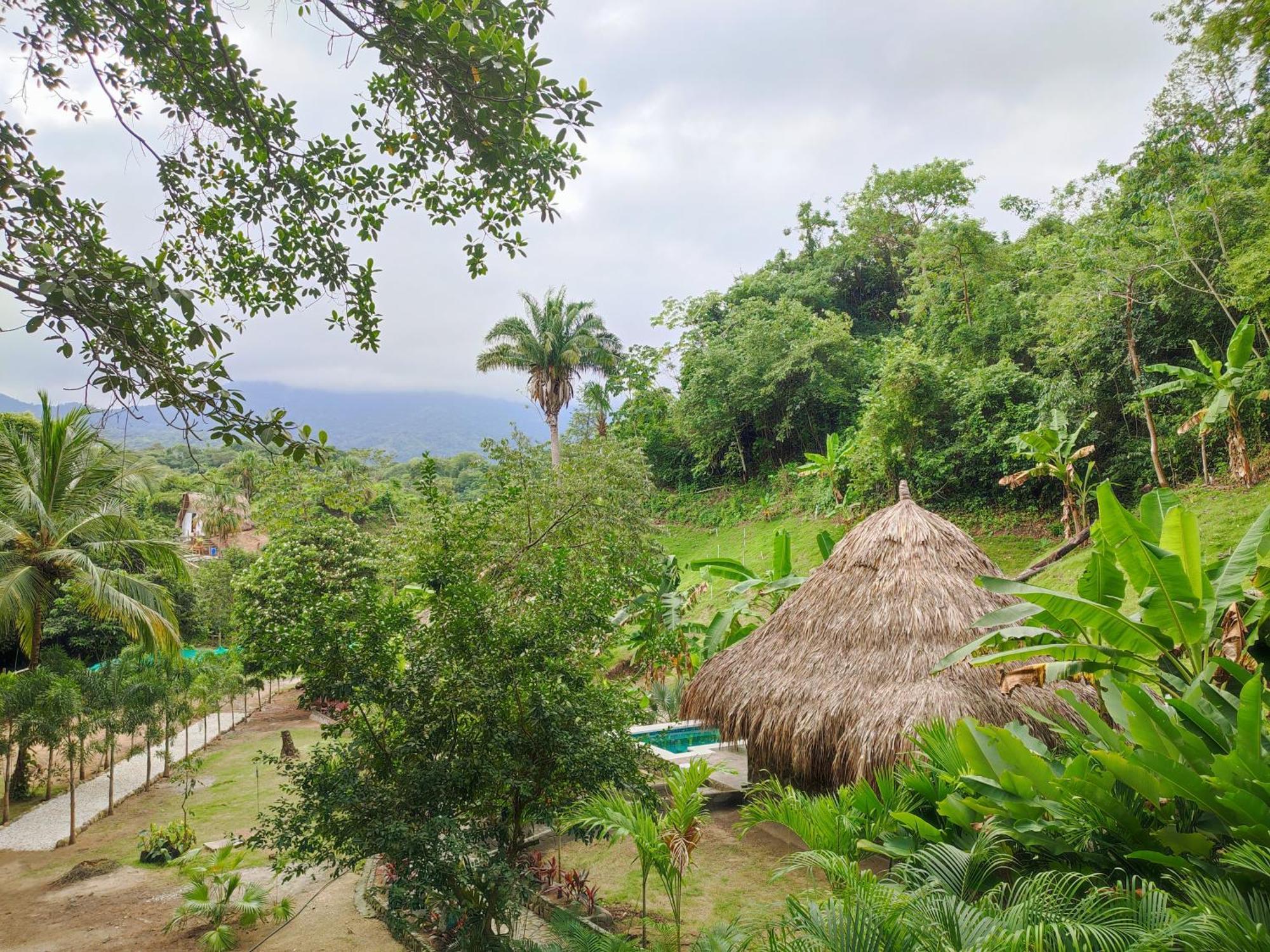Colibri Parque Tayrona Dentro Del Parque Nacional Tayrona Bed & Breakfast El Zaino Eksteriør bilde