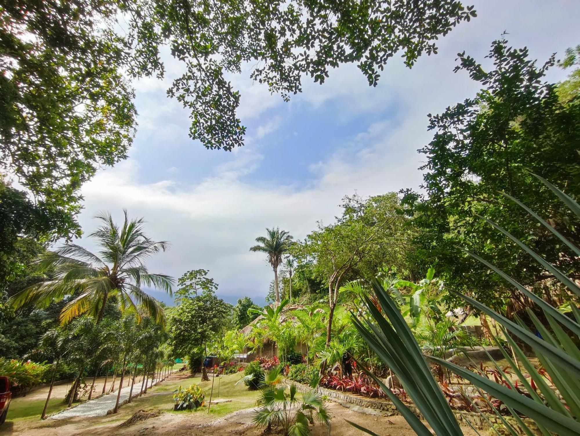 Colibri Parque Tayrona Dentro Del Parque Nacional Tayrona Bed & Breakfast El Zaino Eksteriør bilde