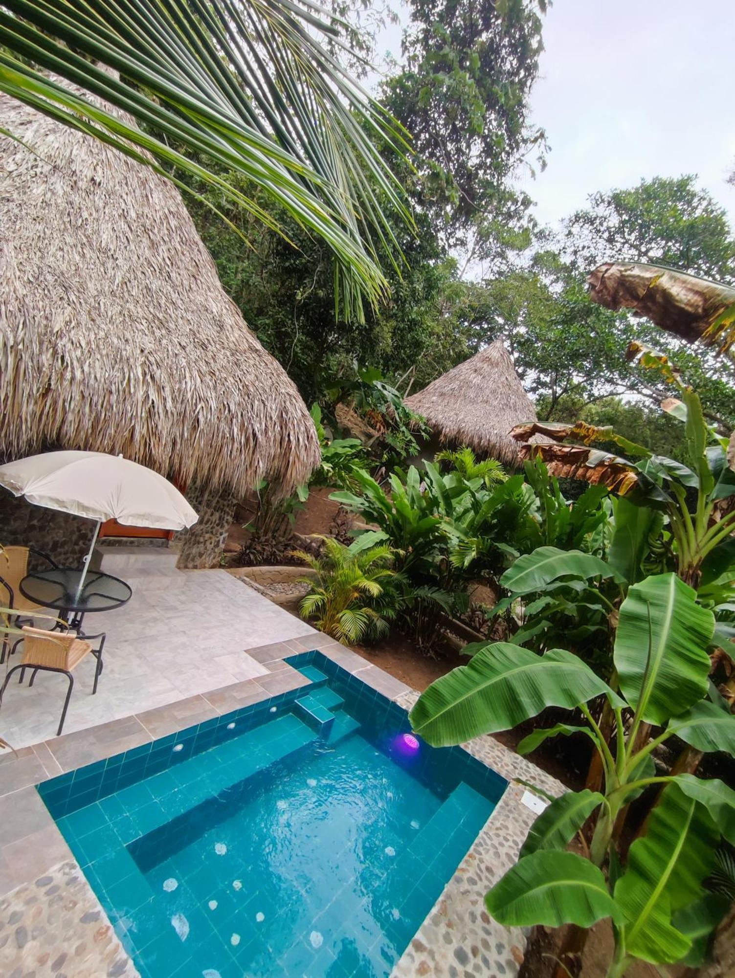 Colibri Parque Tayrona Dentro Del Parque Nacional Tayrona Bed & Breakfast El Zaino Eksteriør bilde