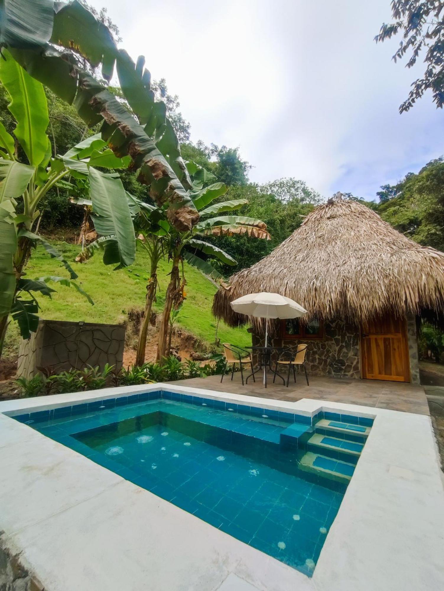 Colibri Parque Tayrona Dentro Del Parque Nacional Tayrona Bed & Breakfast El Zaino Eksteriør bilde