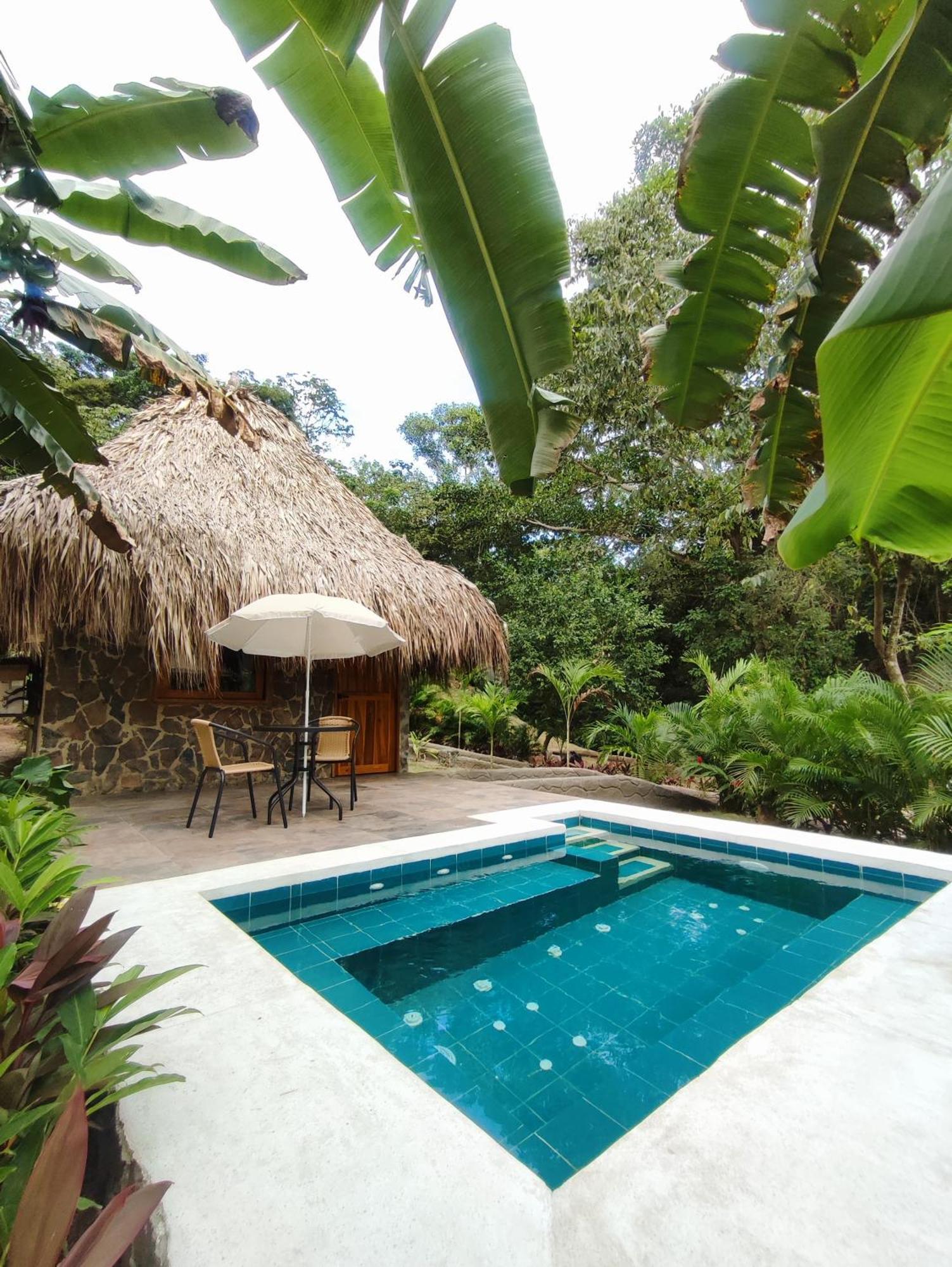 Colibri Parque Tayrona Dentro Del Parque Nacional Tayrona Bed & Breakfast El Zaino Eksteriør bilde