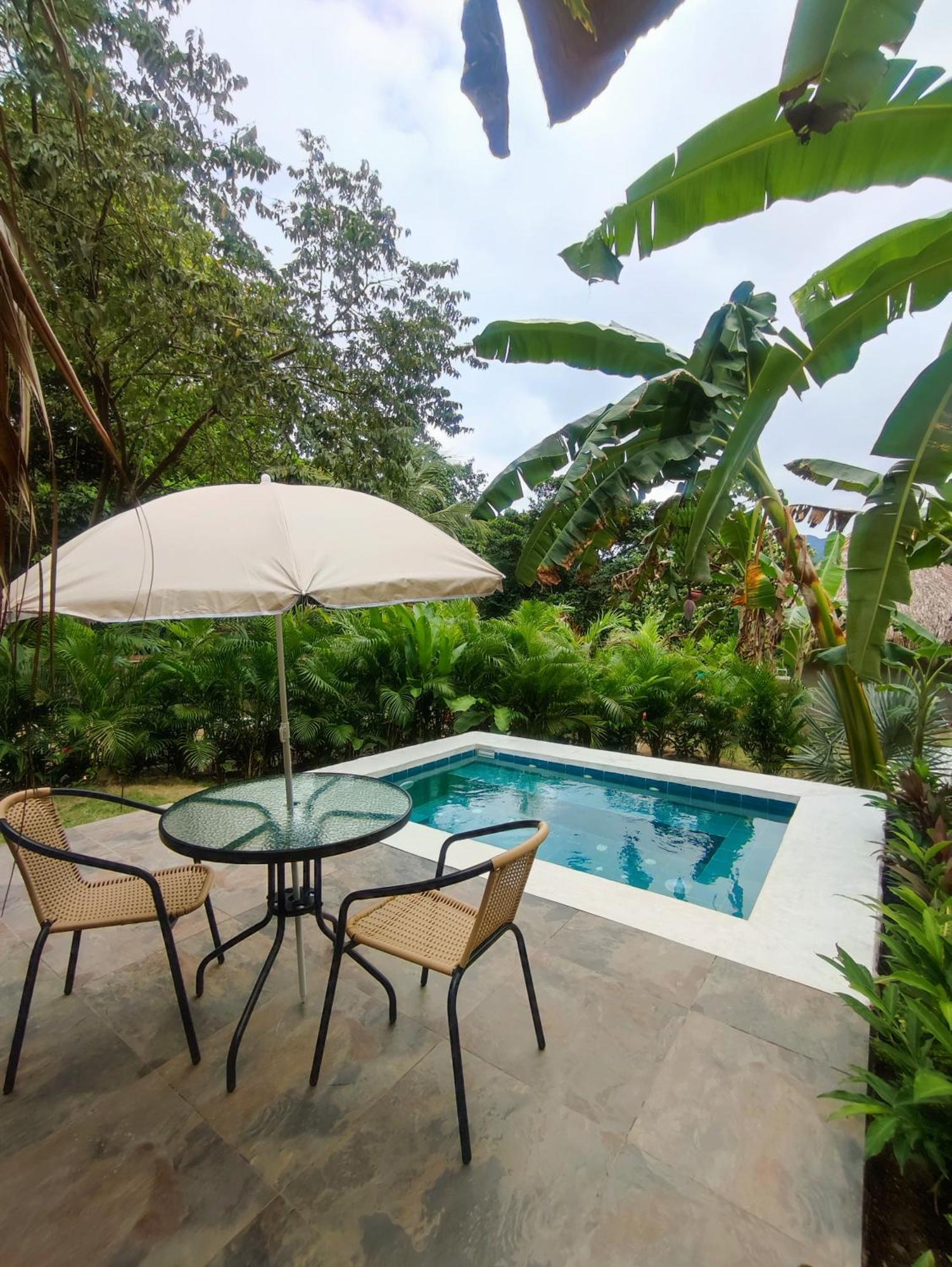 Colibri Parque Tayrona Dentro Del Parque Nacional Tayrona Bed & Breakfast El Zaino Eksteriør bilde