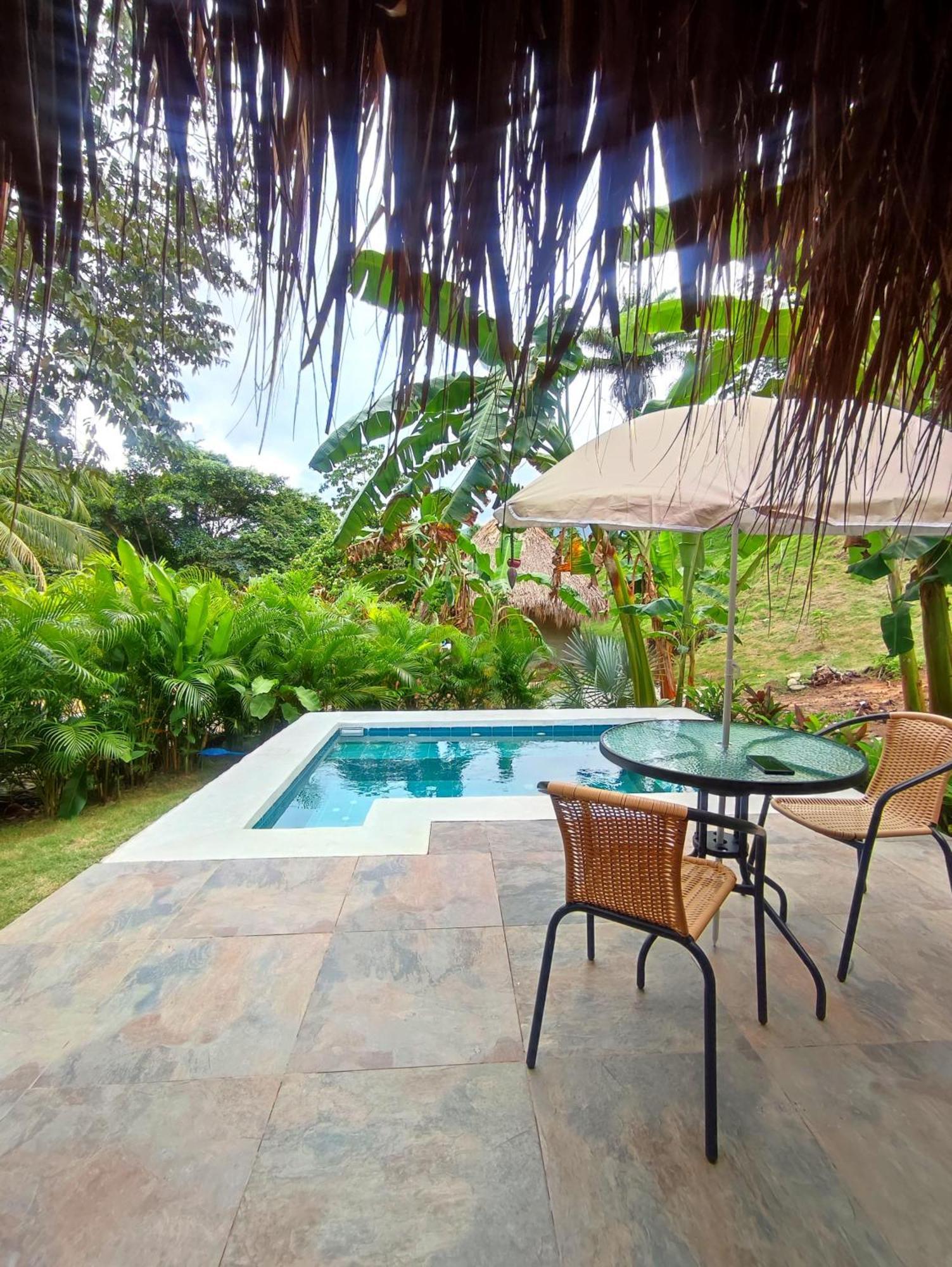 Colibri Parque Tayrona Dentro Del Parque Nacional Tayrona Bed & Breakfast El Zaino Eksteriør bilde