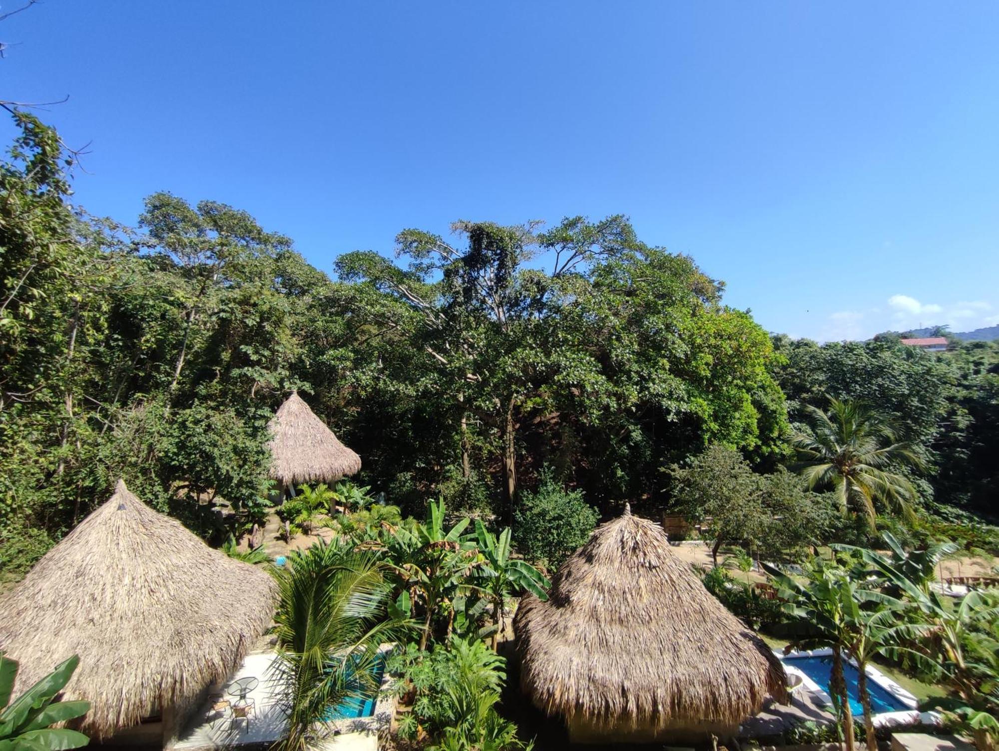 Colibri Parque Tayrona Dentro Del Parque Nacional Tayrona Bed & Breakfast El Zaino Eksteriør bilde